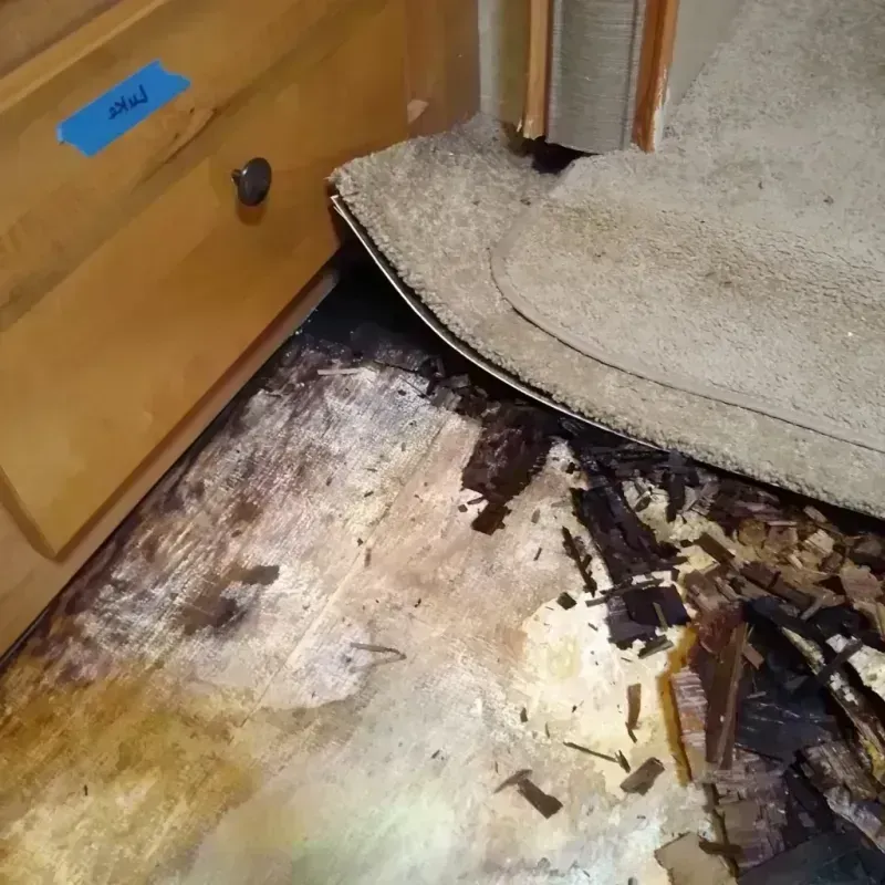 Wood Floor Water Damage in Aberdeen, FL